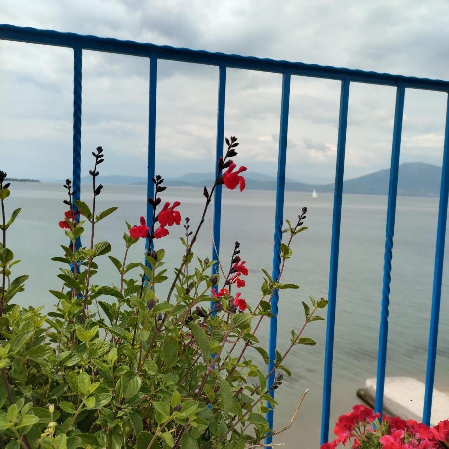 Papas Rooms On The Seafront Ωρεοί Εξωτερικό φωτογραφία